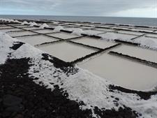 Salinas de Fuencaliente